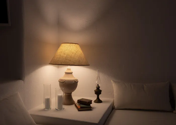 فيلة أوليف كييف هاوسيز