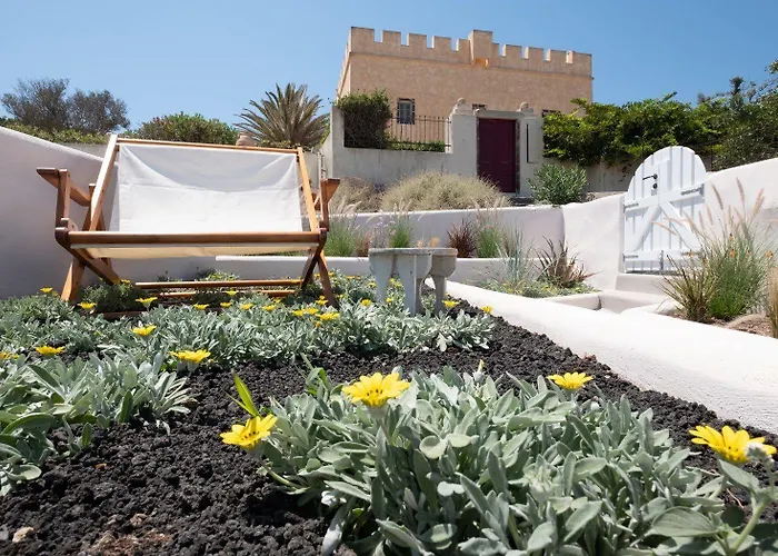 أوليف كييف هاوسيز فيلة *