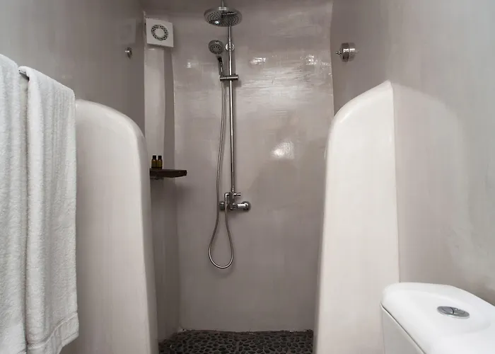 أوليف كييف هاوسيز فيلة *